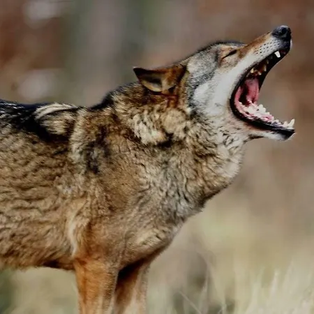 Lagenhof! Keine Monteure! Дом отдыха *