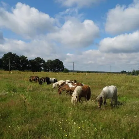 Lagenhof! Keine Monteure! Дом отдыха Gablenz