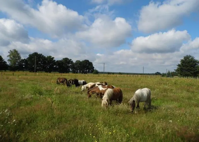 Lagenhof! Keine Monteure! Semesterbostad Gablenz